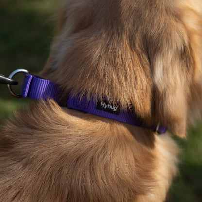 Hyhug Pets Premium Upgraded Heavy Duty Nylon Anti-Escape Martingale Collar for Boy and Girl Dogs
