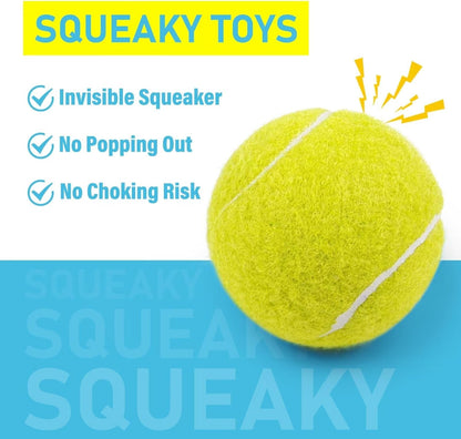 Prime Pets Tennis Balls for Dogs, 2.5 Inch Squeaky Dog Balls for Play & Fetch, Squeaky Tennis Balls