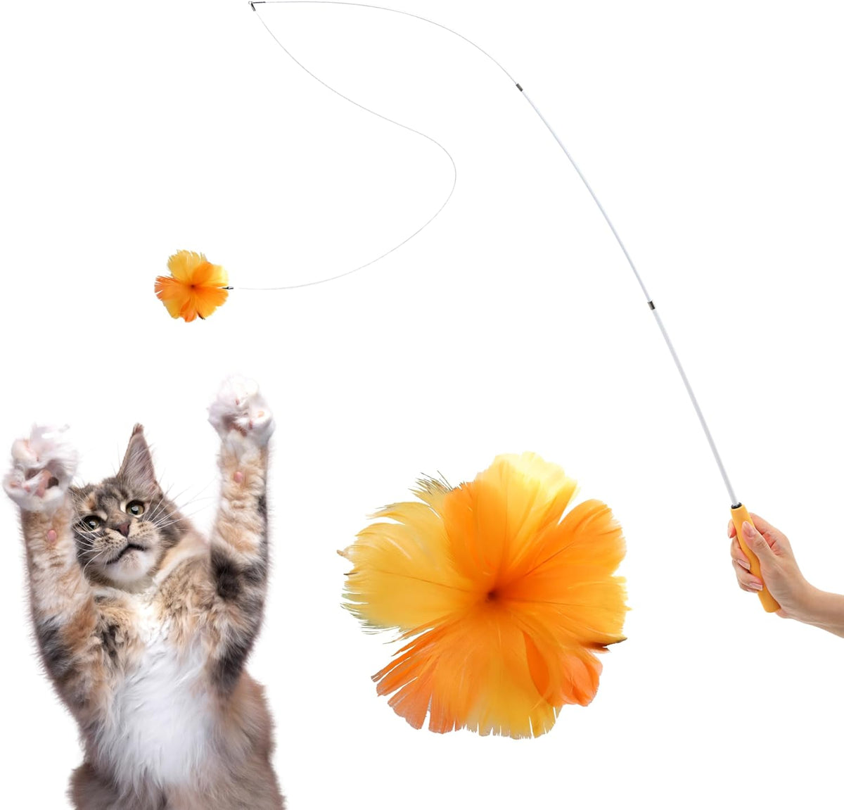 Cat Feather Wand Toy - 38" Retractable Cat Wand Toy with Orange Feather Flower Teaser Refill for