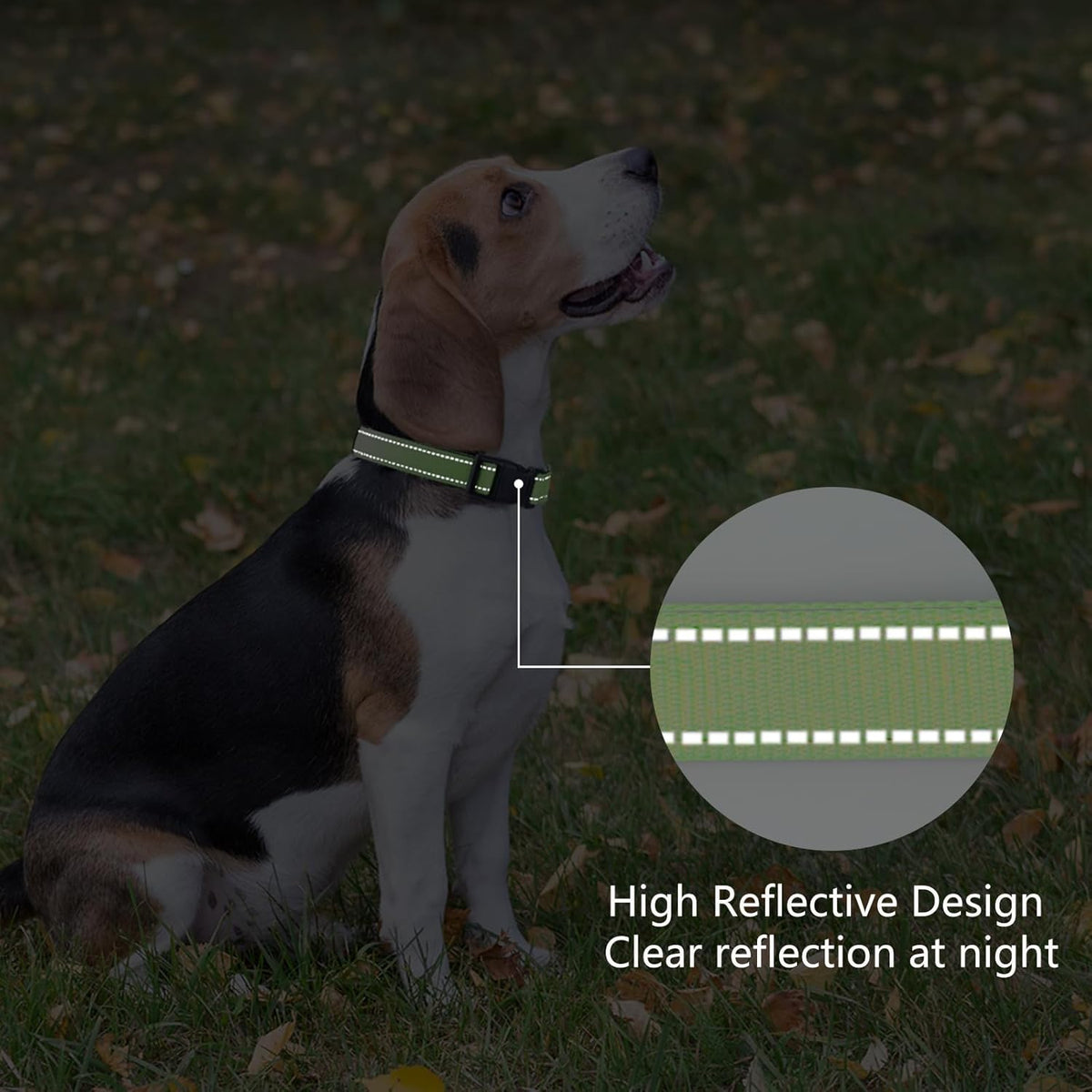 Reflective Dog Collar Padded with Soft Neoprene Breathable Quick Release Basic Dog Collars for