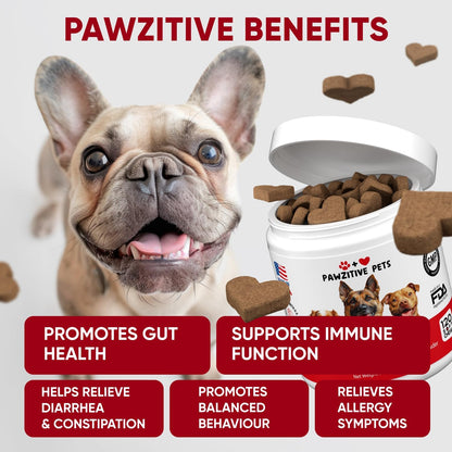 Probiotics for Dogs Digestive Health - Probiotic Chews for Gut Health, Itchy Skin Yeast, Diarrhea