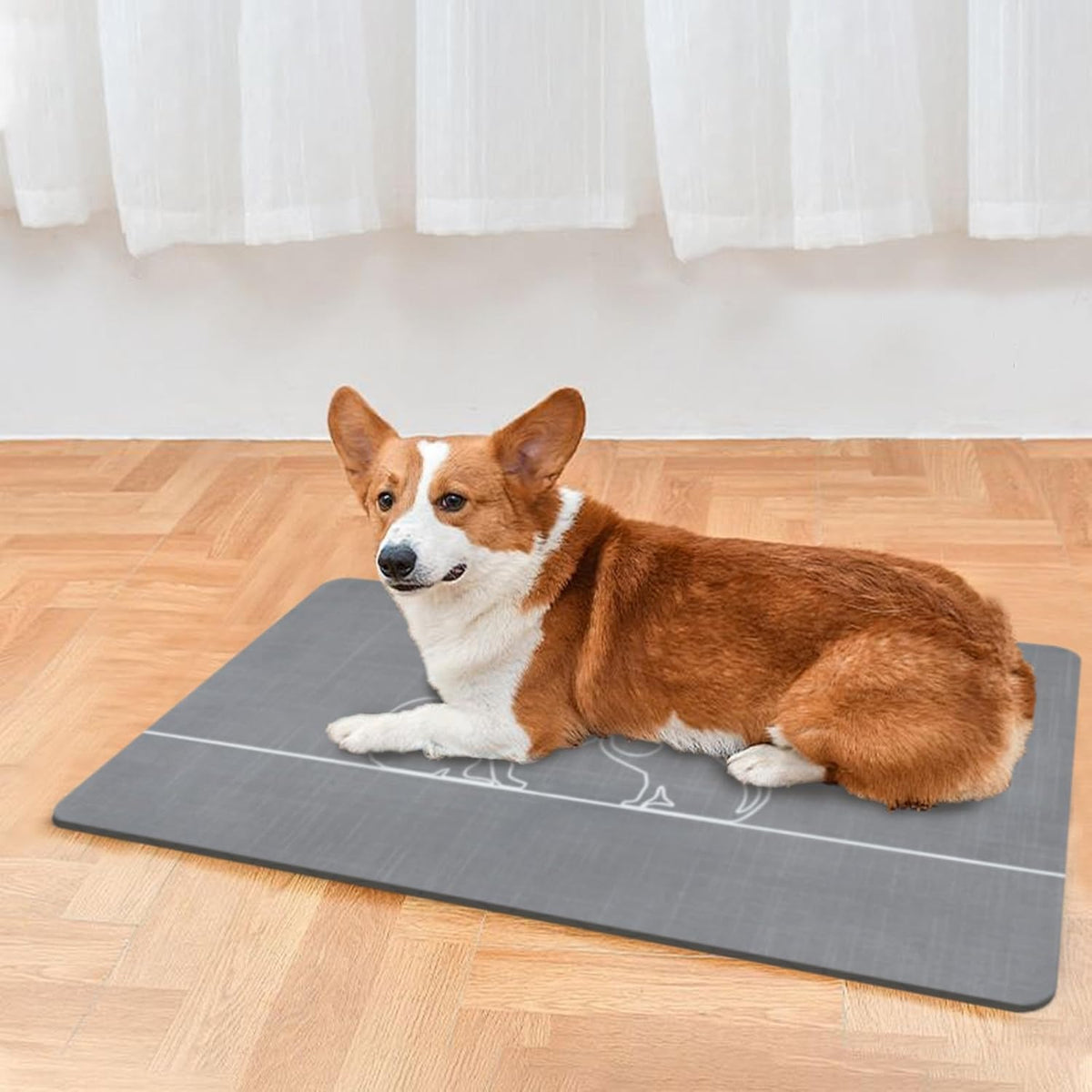 Le courant Dog Bowl Mats, Cat Feeding Mat, Non-Slip Super Absorbent,No Stains Quick Dry Dog Water
