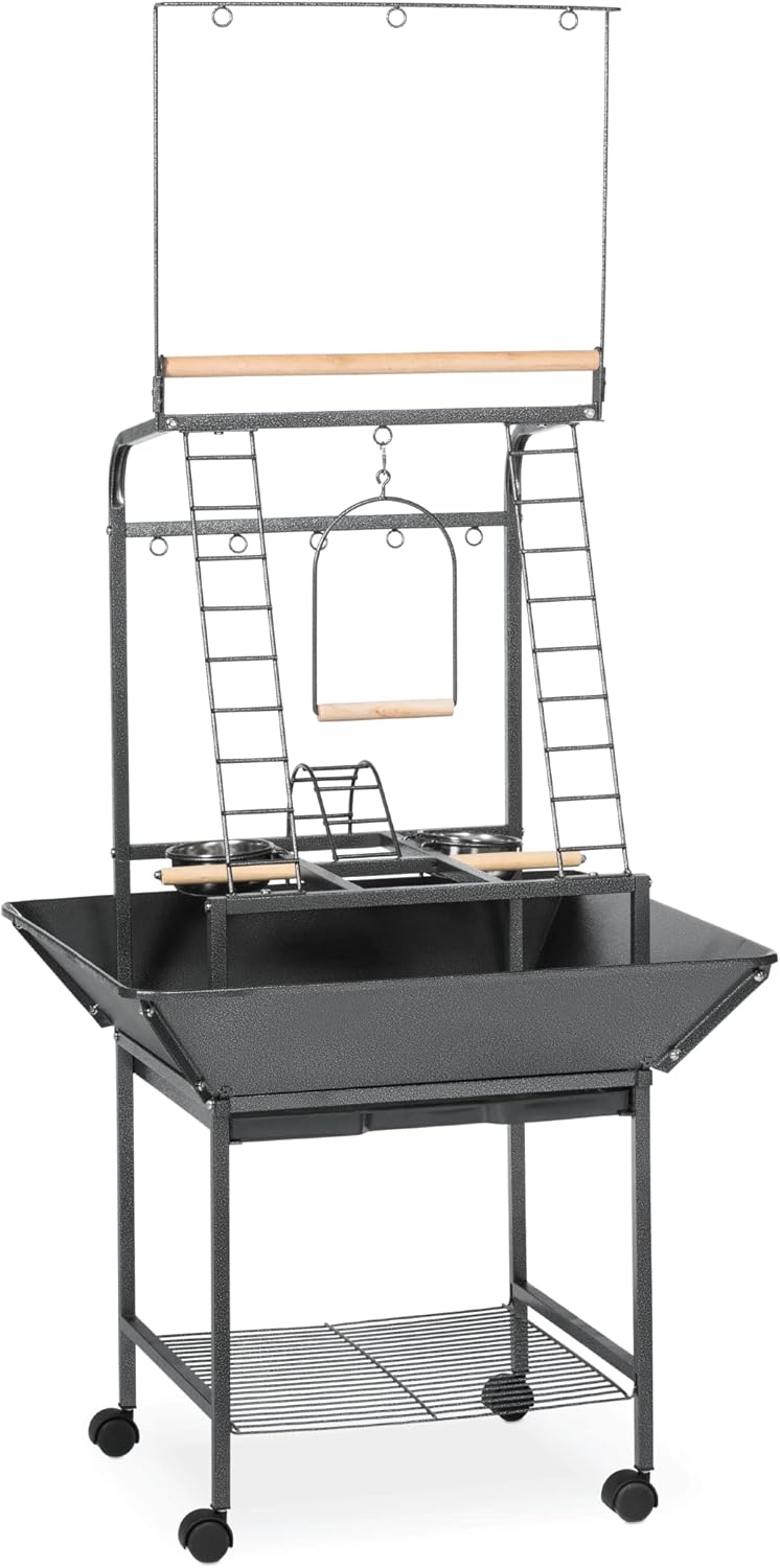 Prevue Pet Products Small Parrot Playstand with Wheels, Bird Stand Activity Play Center with