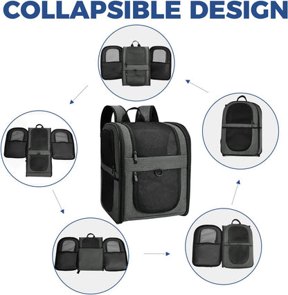 Apollo Walker Pet Carrier Backpack for 4-15lb Cats and Dogs, Puppies, Safety Features and Cushion