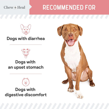 Chew + Heal Labs Anti Diarrhea for Dogs 2oz - Fast Relief Liquid Dog Diarrhea Supplement with