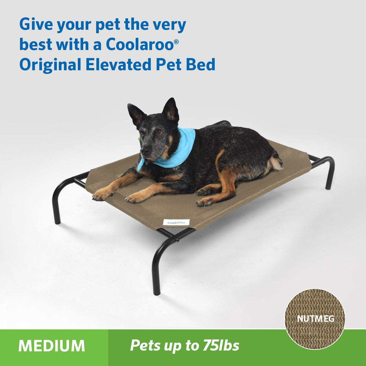 Coolaroo Original Elevated Dog Bed - Breathable Off-The-Ground Pet Bed with Cooling Fabric, Joint