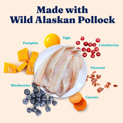 Solid Gold High Protein Dry Cat Food - Grain Free & Gluten Free Alaskan Pollock Cat Dry Food