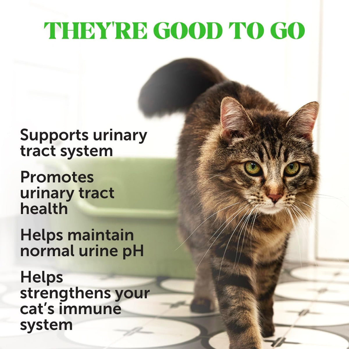 Cat Urinary Tract Health Crunchy & Creamy Chews - Promotes Healthy Digestion & Normal Bladder