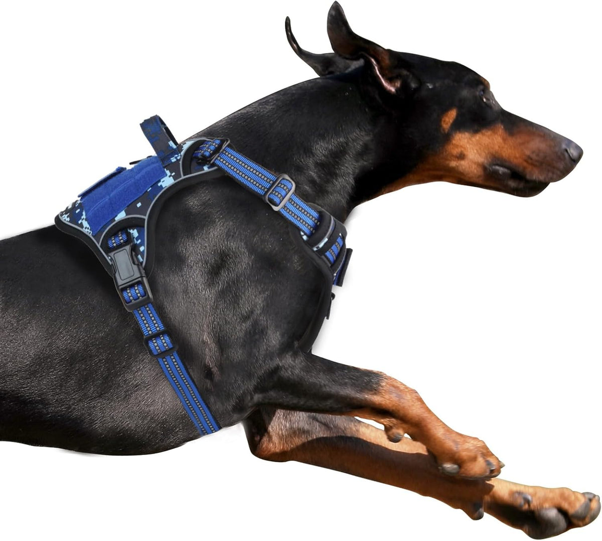 BUMBIN Tactical Dog Harness for Large Dogs No Pull, Famous TIK Tok No Pull Puppy Harness, Fit Smart