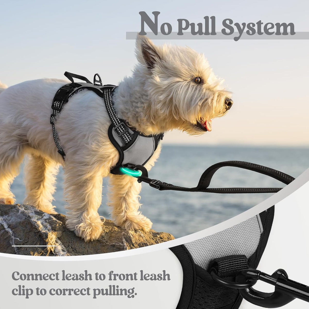 rabbitgoo Dog Harness No Pull with 2 Leash Clips, Adjustable Soft Padded, Reflective Oxford No