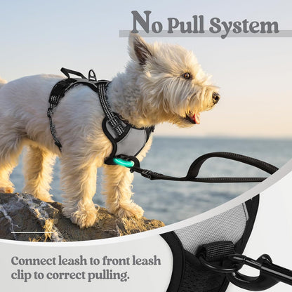rabbitgoo Dog Harness No Pull with 2 Leash Clips, Adjustable Soft Padded, Reflective Oxford No