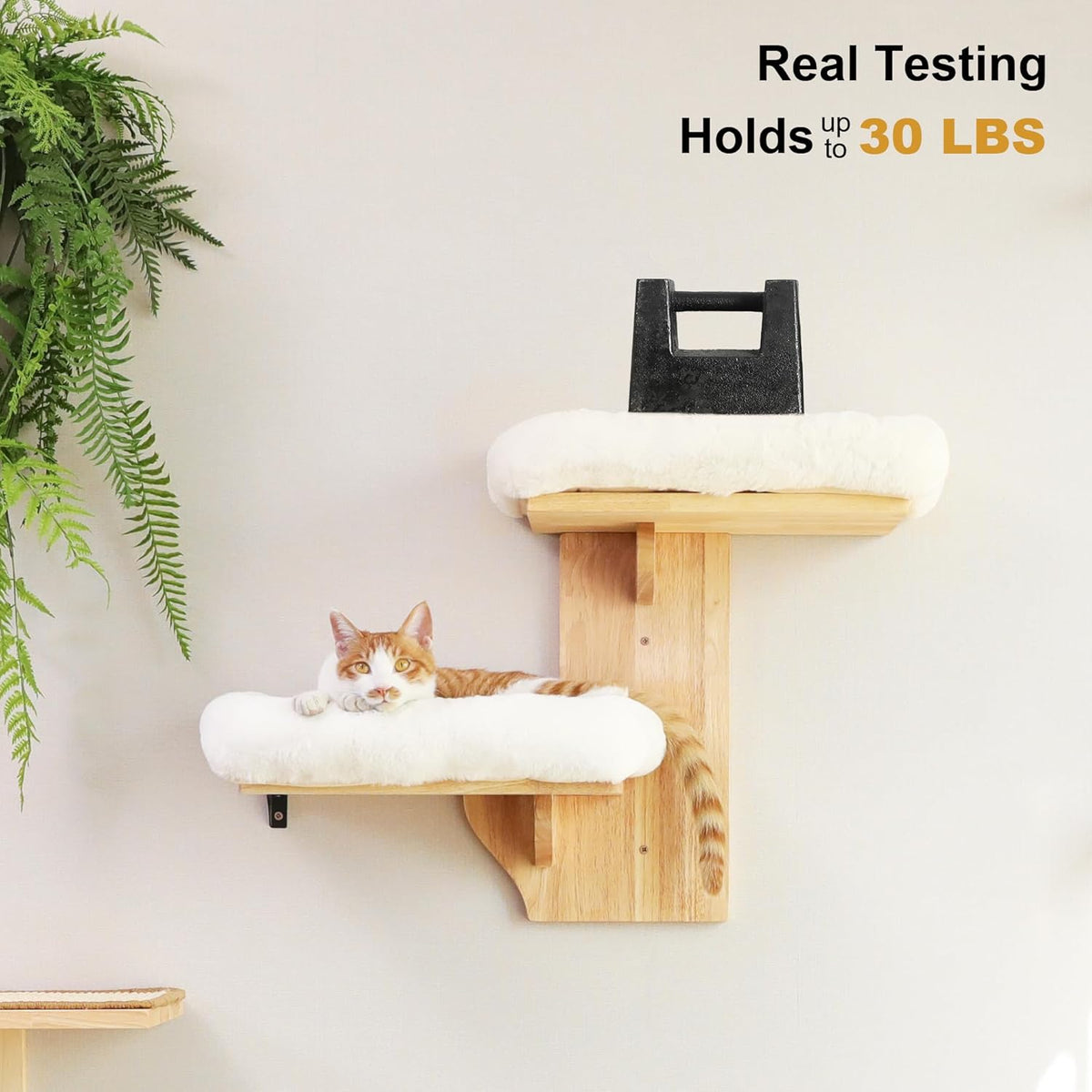 FUKUMARU Cat Wall Shelves, 2 Platform Cats Walls Furniture, Tree Shape Kitten Floating Shelf with