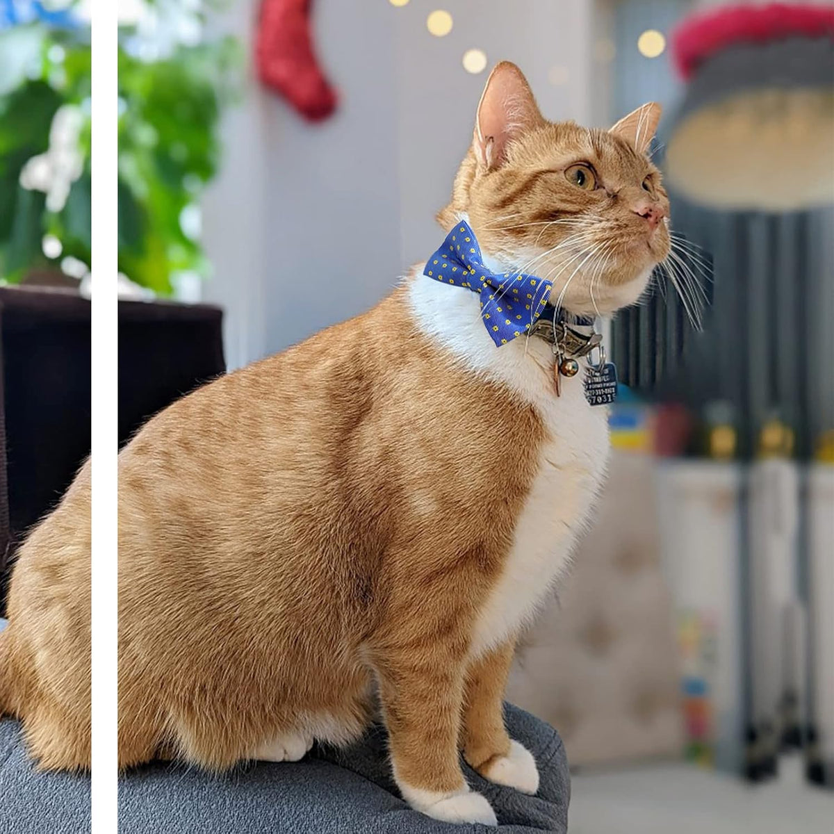 Dog Bow Tie / 50 Pcs Adjustable Elastic Rubber Band Double Layer Bow Ties for Small Medium Large