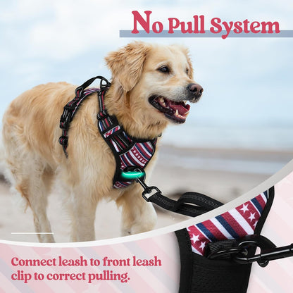 rabbitgoo Dog Harness No Pull with 2 Leash Clips, Adjustable Soft Padded, Reflective Oxford No