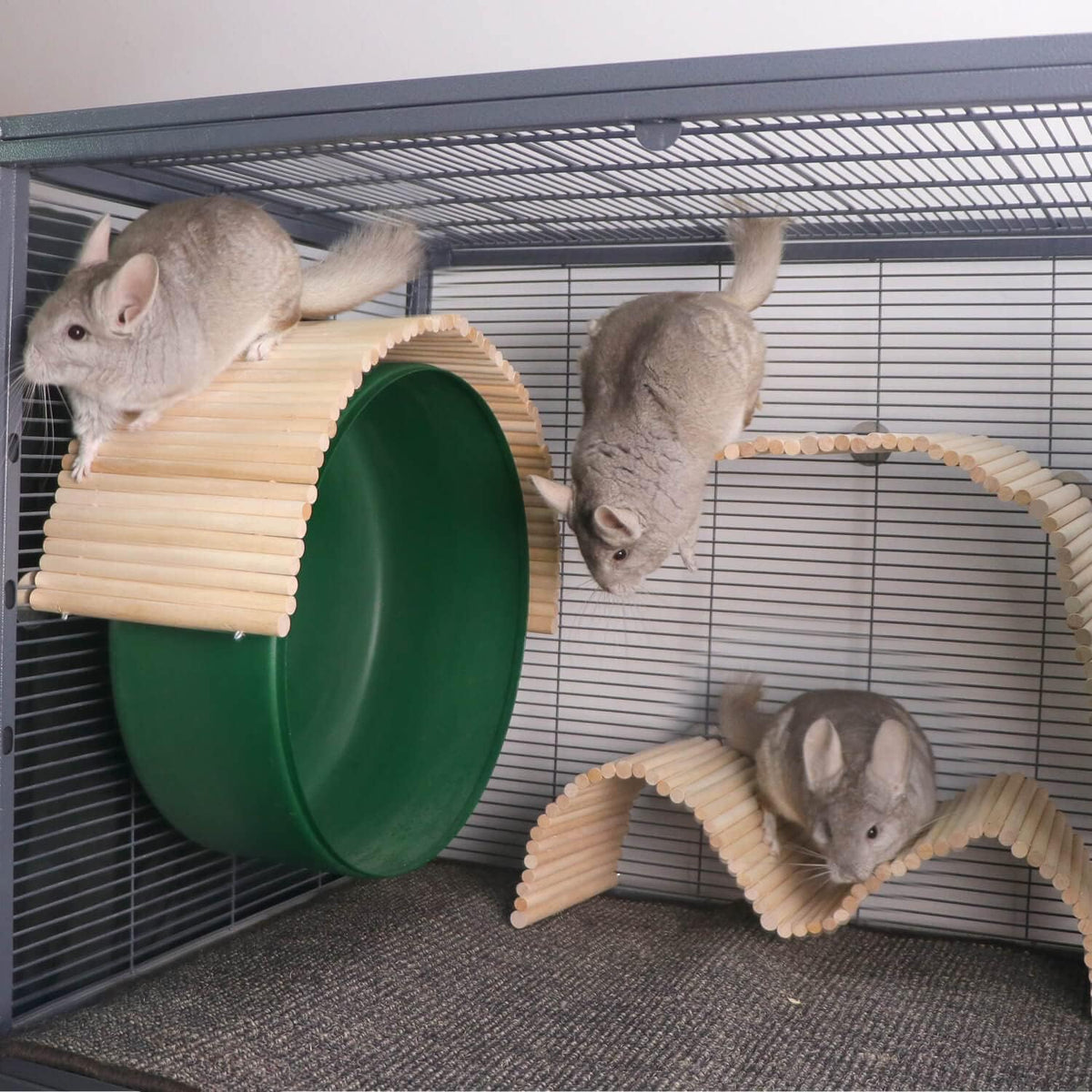 YKD Chinchilla Natural Birch Wood Flexible Platform Toy, Chinchilla Running Wheel Fence, Small