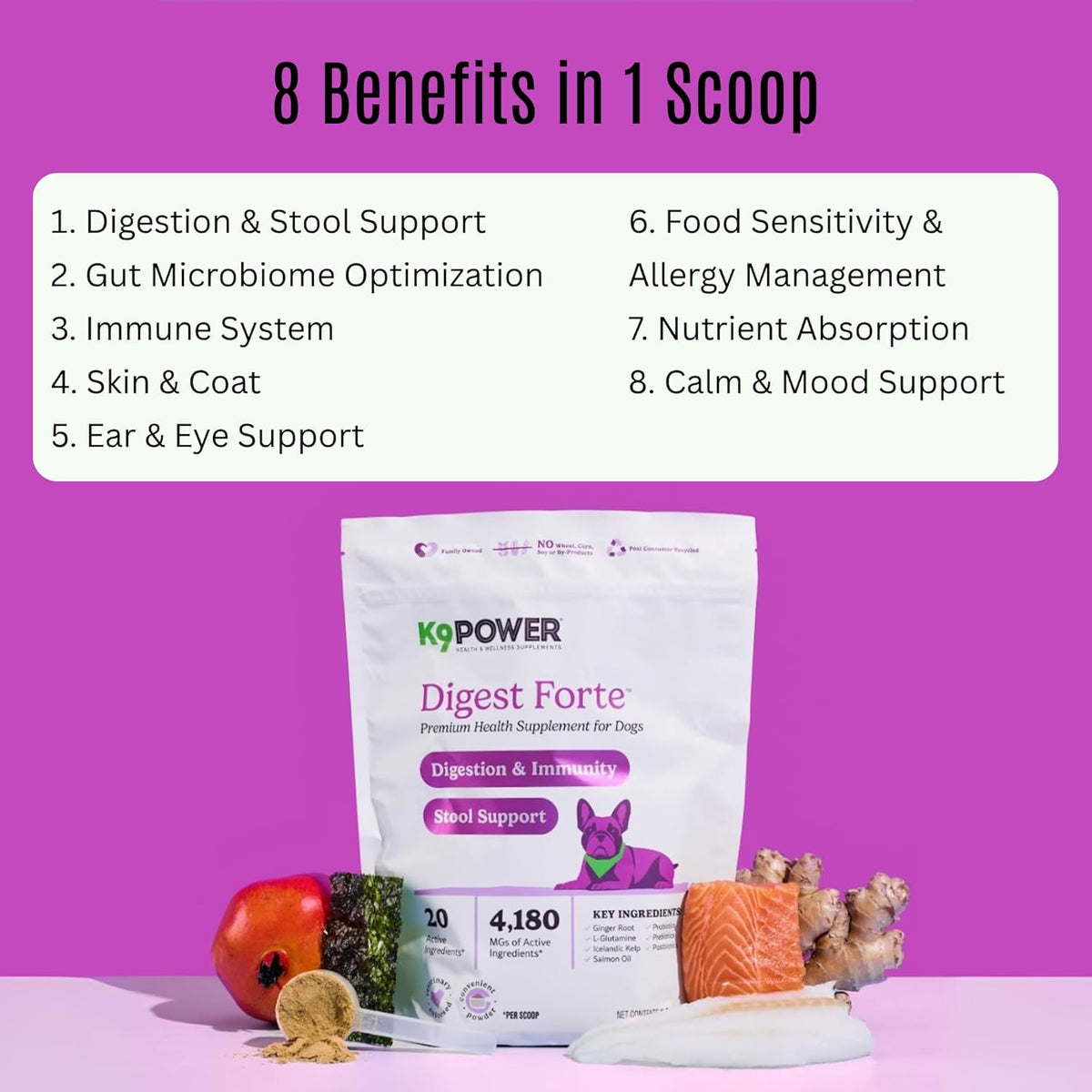 K9 Power Digest Forte for Dogs 1lb – Digestive, Immunity & Calming Support - Enhances Nutrient