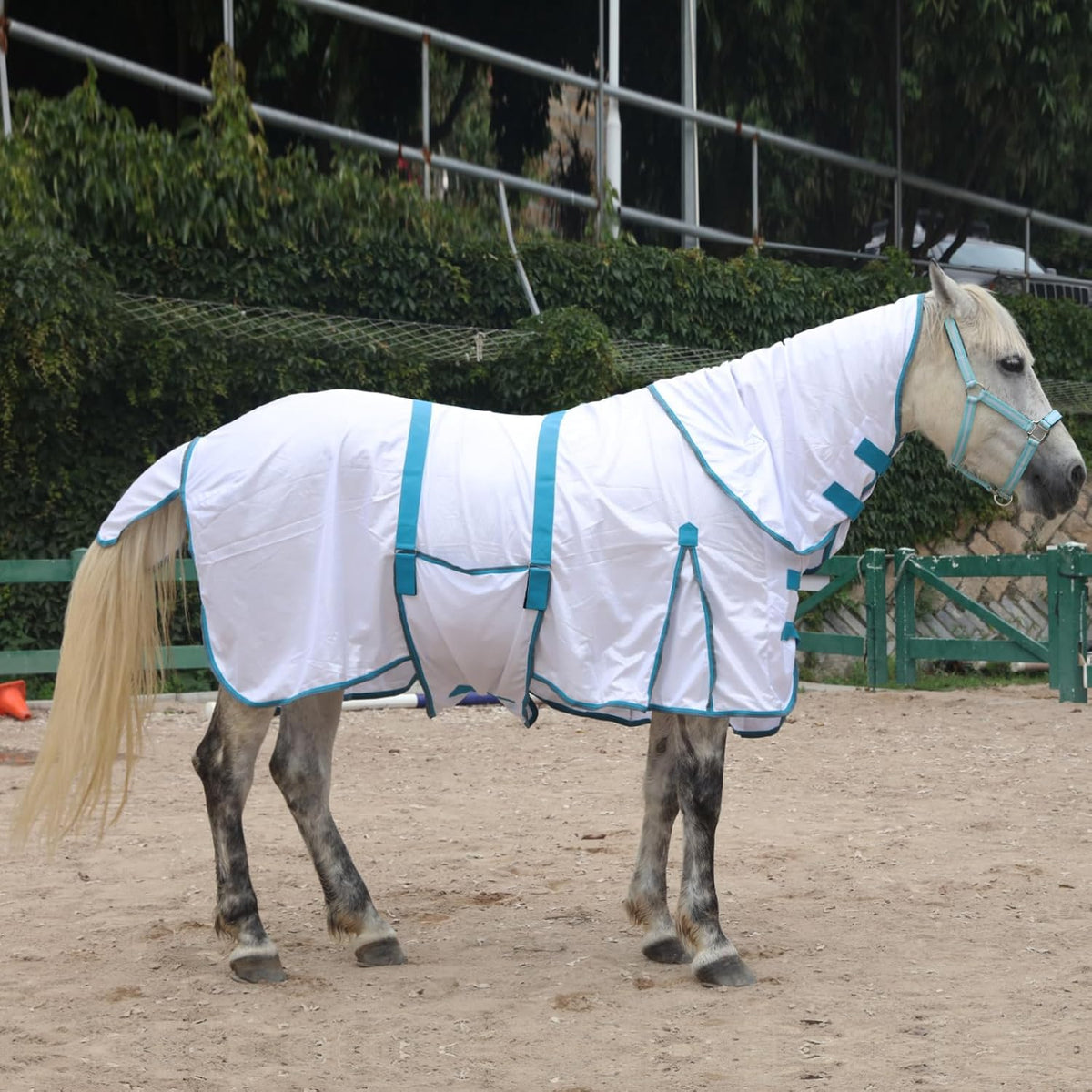 Horse Fly Sheet with Detachable Neck Cover & Belly Wrap, Adjustable Fly Sheet for Horses
