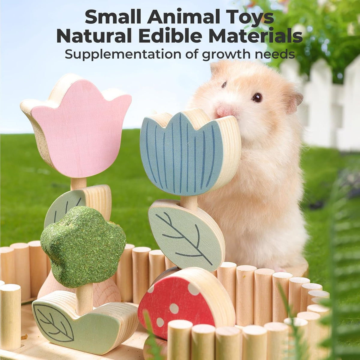 mini&moe Hamster Chew Toys for Teeth - Guinea Pig Chews Enrichment Toys Natural Edible Rabbit Chew