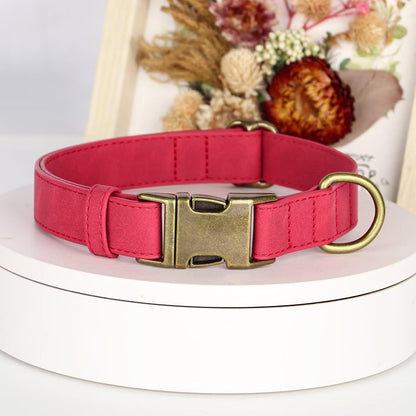 Didog Soft PU Leather Dog Collar, Stylish Quick Released Dog Collars for Small Dogs, Easy Clean