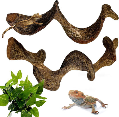 BNOSDM 2Pcs Reptile Climbing Branches Decor,Snake Climbing Branch,Gecko Climb Wood,Lizard Forest