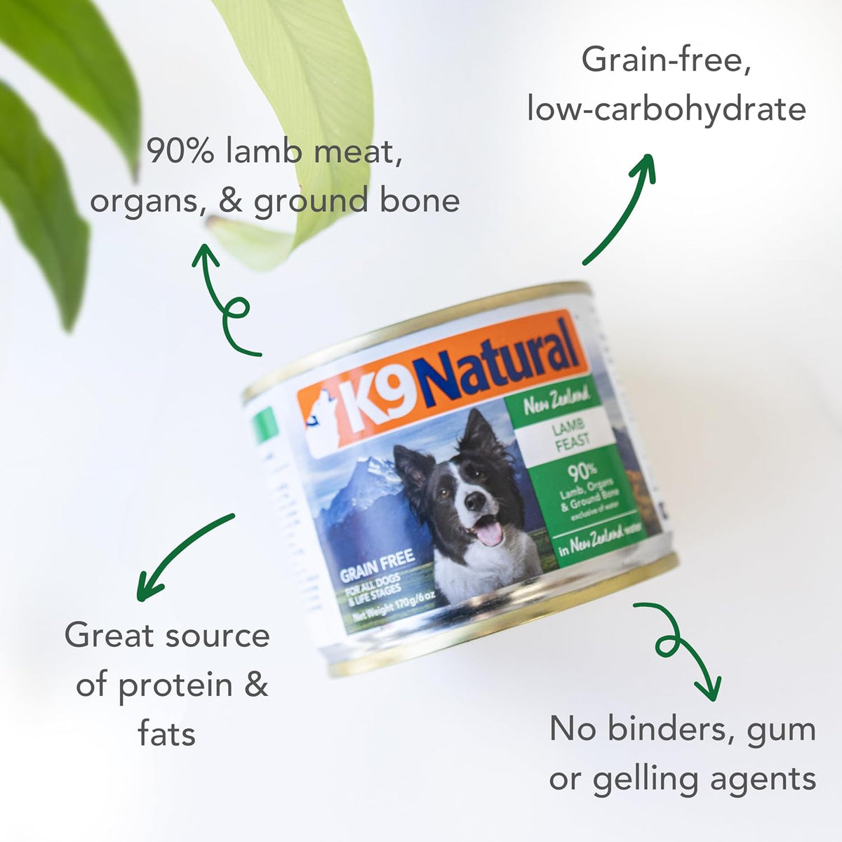 K9 Natural Wet Dog Food Pate, Lamb Feast, 6 Oz Cans (Pack of 12), Grain Free, Made in New Zealand