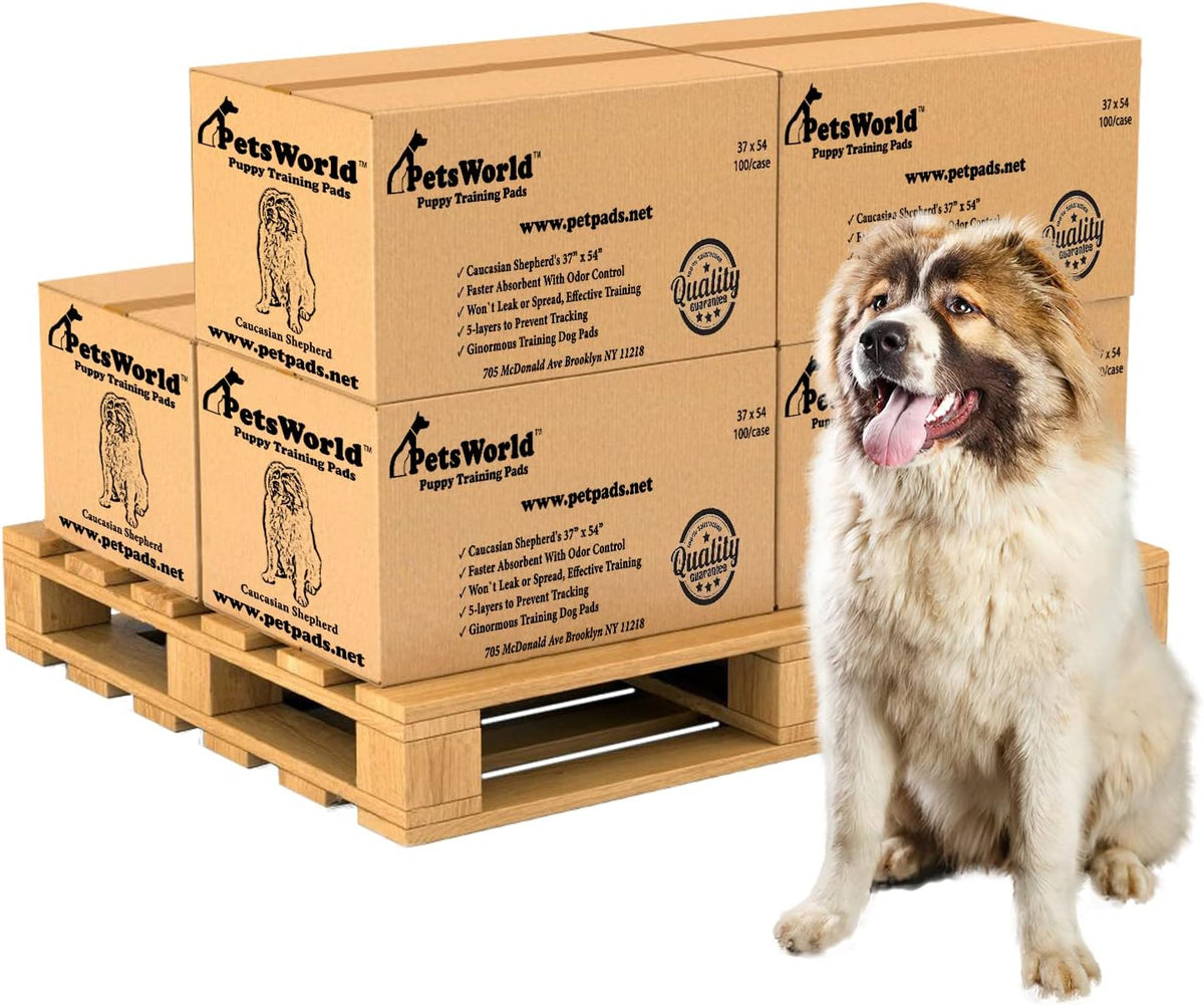 PETSWORLD Enormous Dog Training & Potty Pads, 37x54 inch - Tear Resistant with Strong Leak-Proof