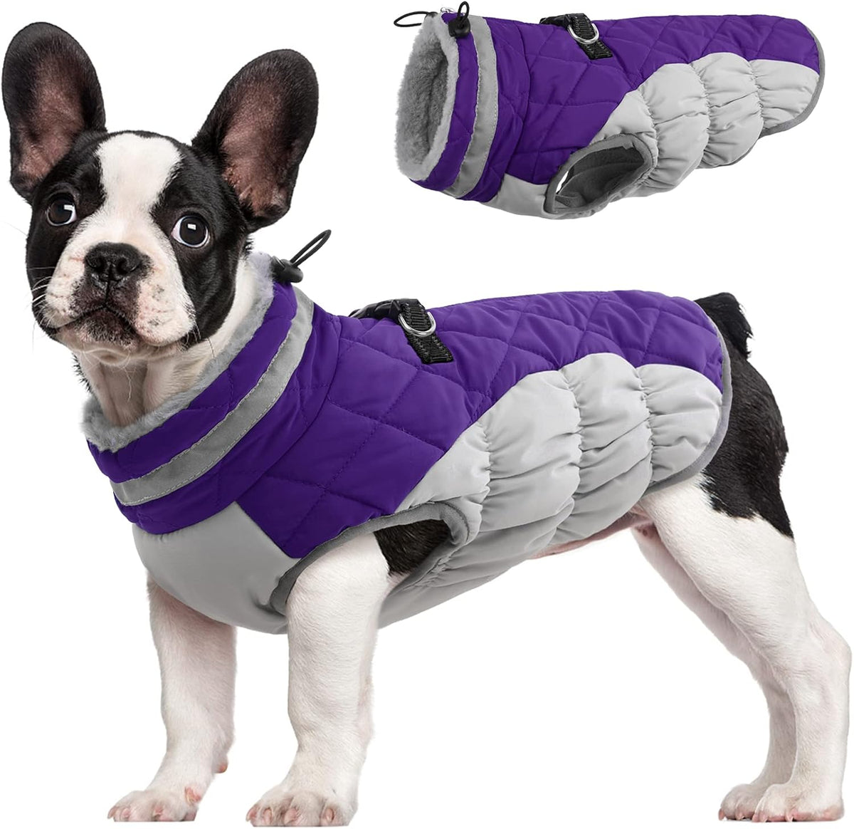 FUAMEY Dog Coat for Small Dogs,Waterproof Dog Winter Jacket with Harness Built in Puppy Cold
