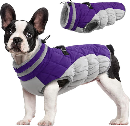 FUAMEY Dog Coat for Small Dogs,Waterproof Dog Winter Jacket with Harness Built in Puppy Cold