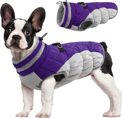 FUAMEY Dog Coat for Small Dogs,Waterproof Dog Winter Jacket with Harness Built in Puppy Cold
