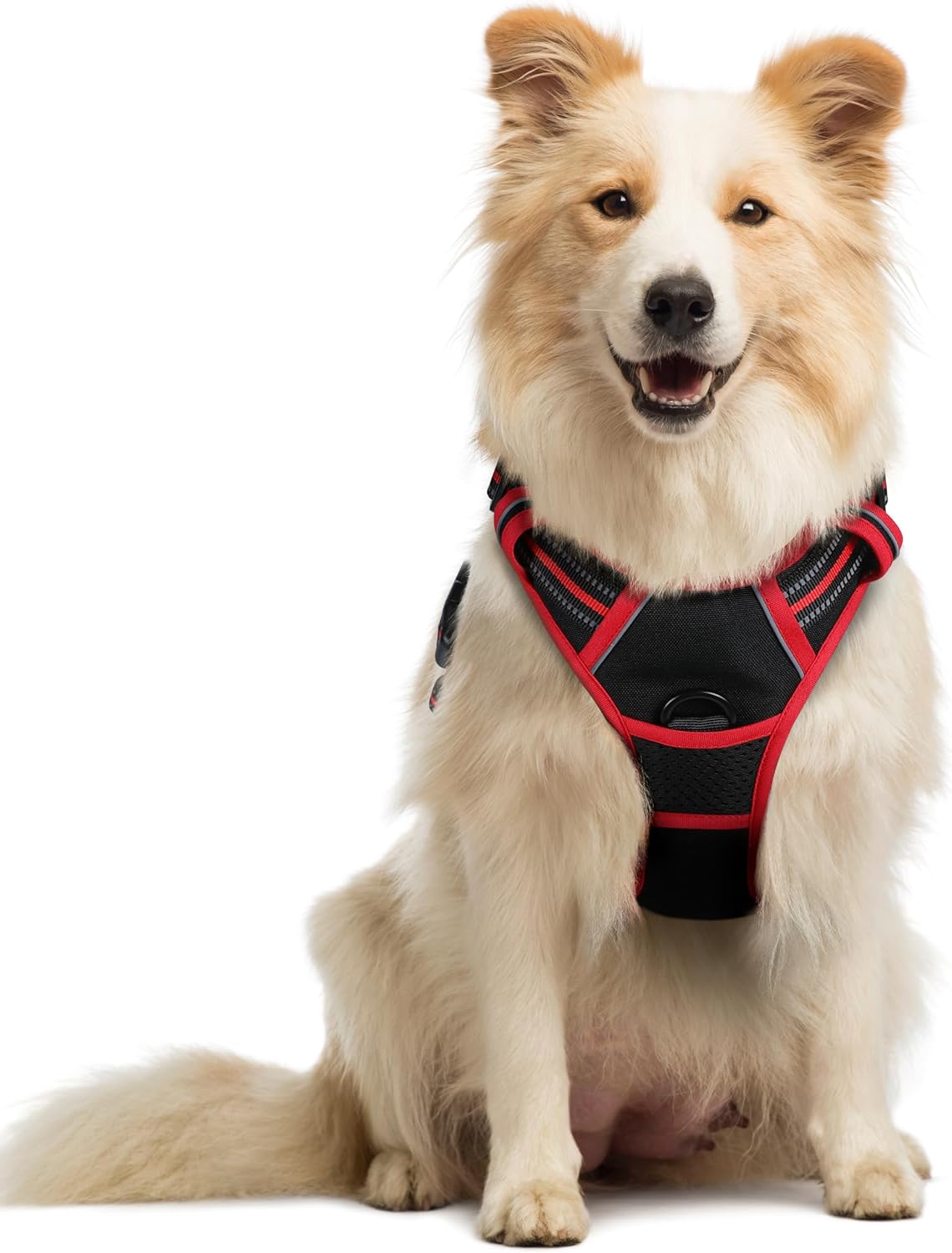 rabbitgoo Dog Harness No Pull with 2 Leash Clips, Adjustable Soft Padded, Reflective Oxford No