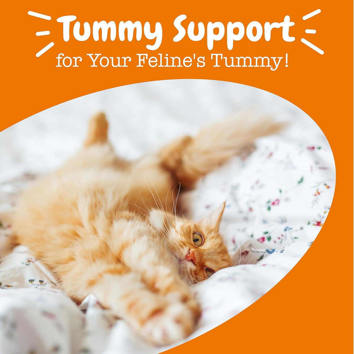 Zesty Paws Powder Probiotics for Cats - Meal Topper for Digestive, Immune System Support for Feline