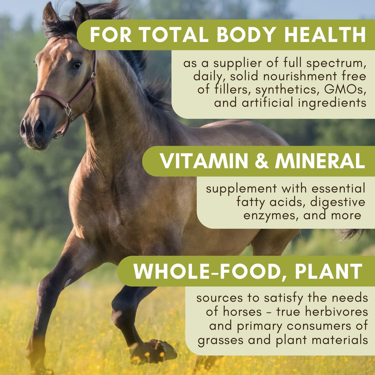 Wholistic Pet Organics Equine Complete: Horse Multivitamin for Total Body Health - Horse Supplement