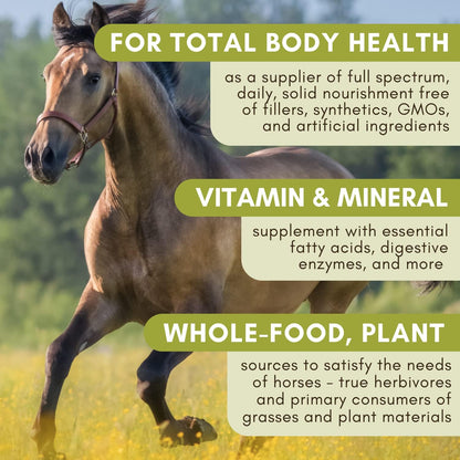 Wholistic Pet Organics Equine Complete: Horse Multivitamin for Total Body Health - Horse Supplement