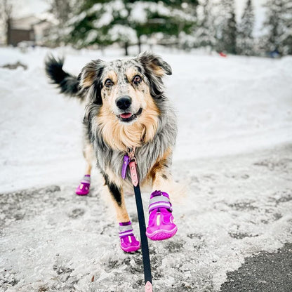 QUMY Dog Shoes for Large Dogs, Medium Dog Boots & Paw Protectors for Winter Snowy Day, Summer Hot