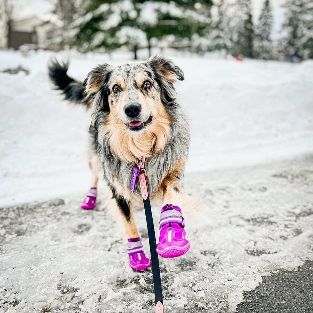 QUMY Dog Shoes for Large Dogs, Medium Dog Boots & Paw Protectors for Winter Snowy Day, Summer Hot