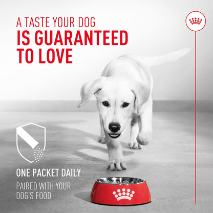 Royal Canin Probiotics for Dogs Digestive and Immune Health Powder Supplement for Canines of All
