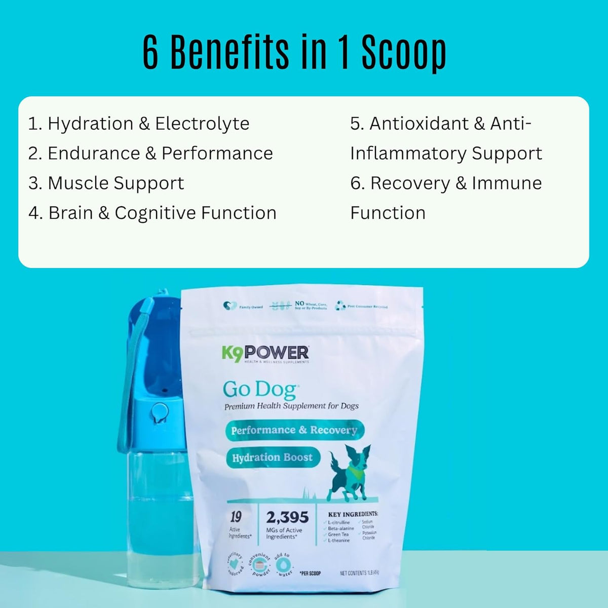 K9 Power Go Dog Hydration & Performance Drink Mix 1 lb - Active Dog Supplement for Muscle Function