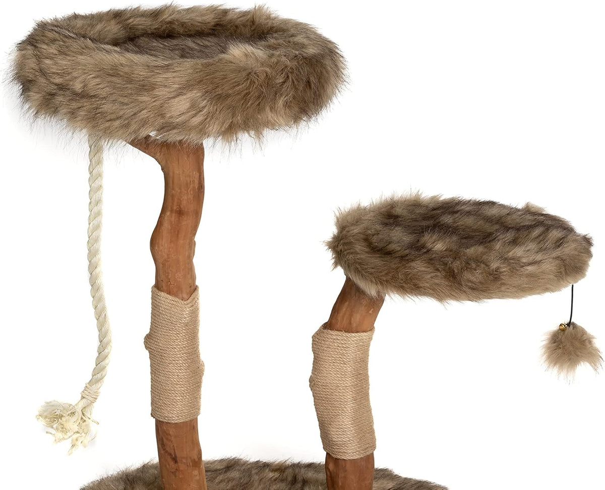 Mau Lifestyle Modern Cat Tree Tower - Natural-Branch Cat Condo & Luxury Wood Cat Scratching Tree