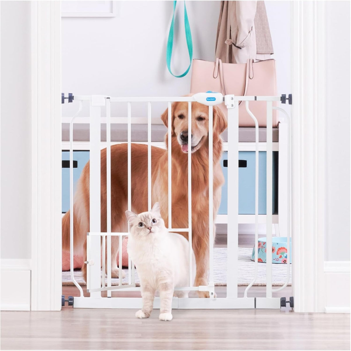 Carlson Extra Wide Walk Through Pet Gate with Small Pet Door, Includes 4-Inch Extension Kit