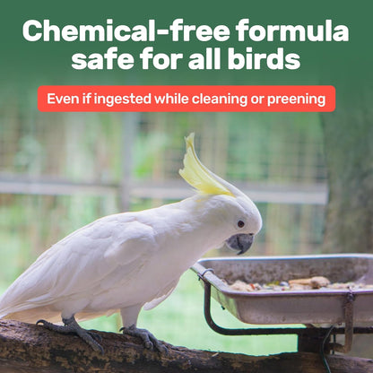 Aloe Vera Bird Spray - 8.5oz/251mL - [Made in USA] - Non-Toxic Bird Bath Relieves Dry/Itchy Skin &