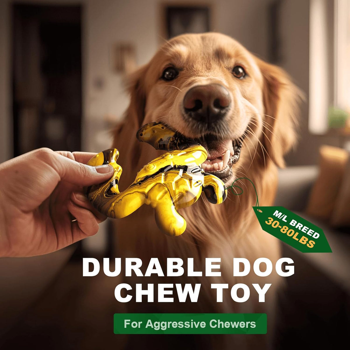 Durable Dog Chew Toy for Aggressive Chewers - Tough Nylon Bone for Medium Breeds, Interactive