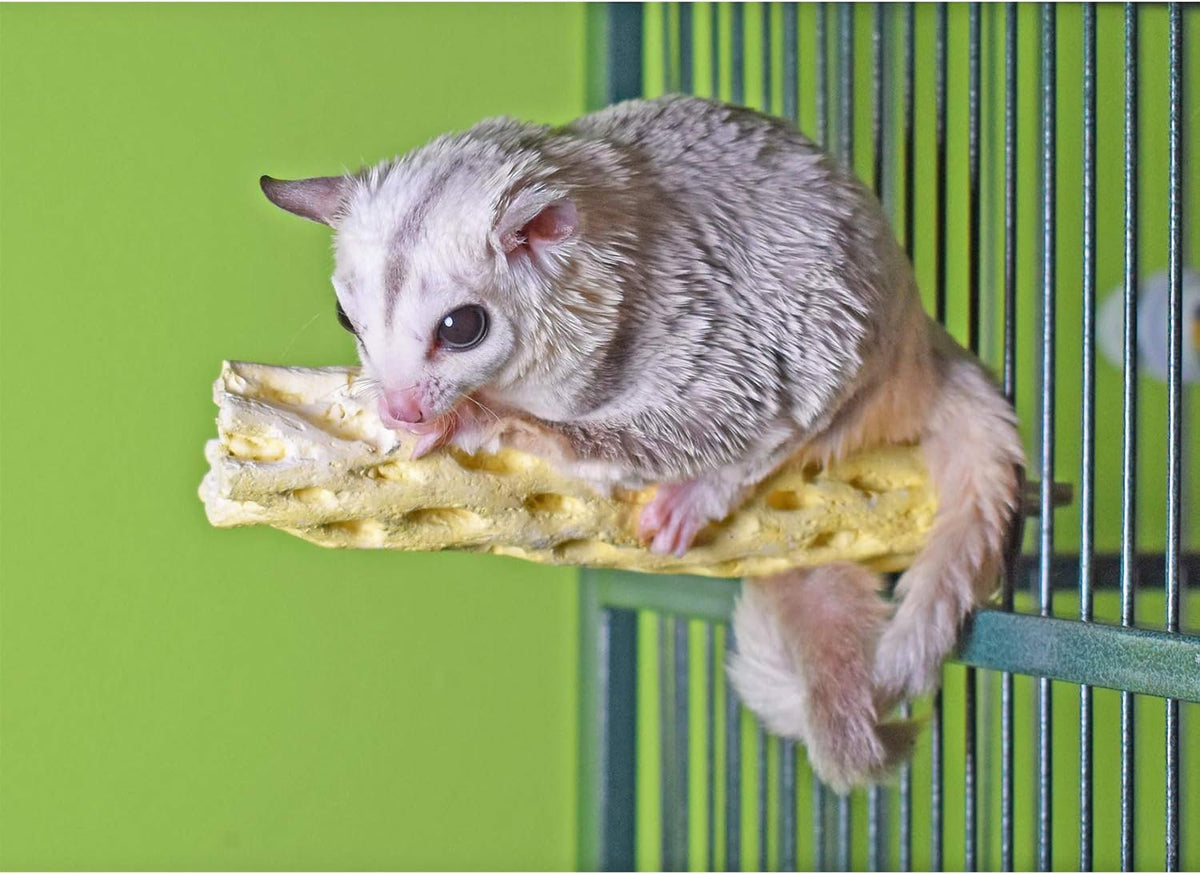 Mineral Perch - Healthy Natural Cage Accessory Toy for Chewing Animals - Squirrels, Chinchillas