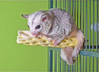 Mineral Perch - Healthy Natural Cage Accessory Toy for Chewing Animals - Squirrels, Chinchillas