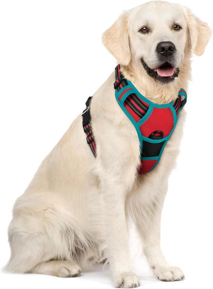 rabbitgoo Dog Harness No Pull with 2 Leash Clips, Adjustable Soft Padded, Reflective Oxford No