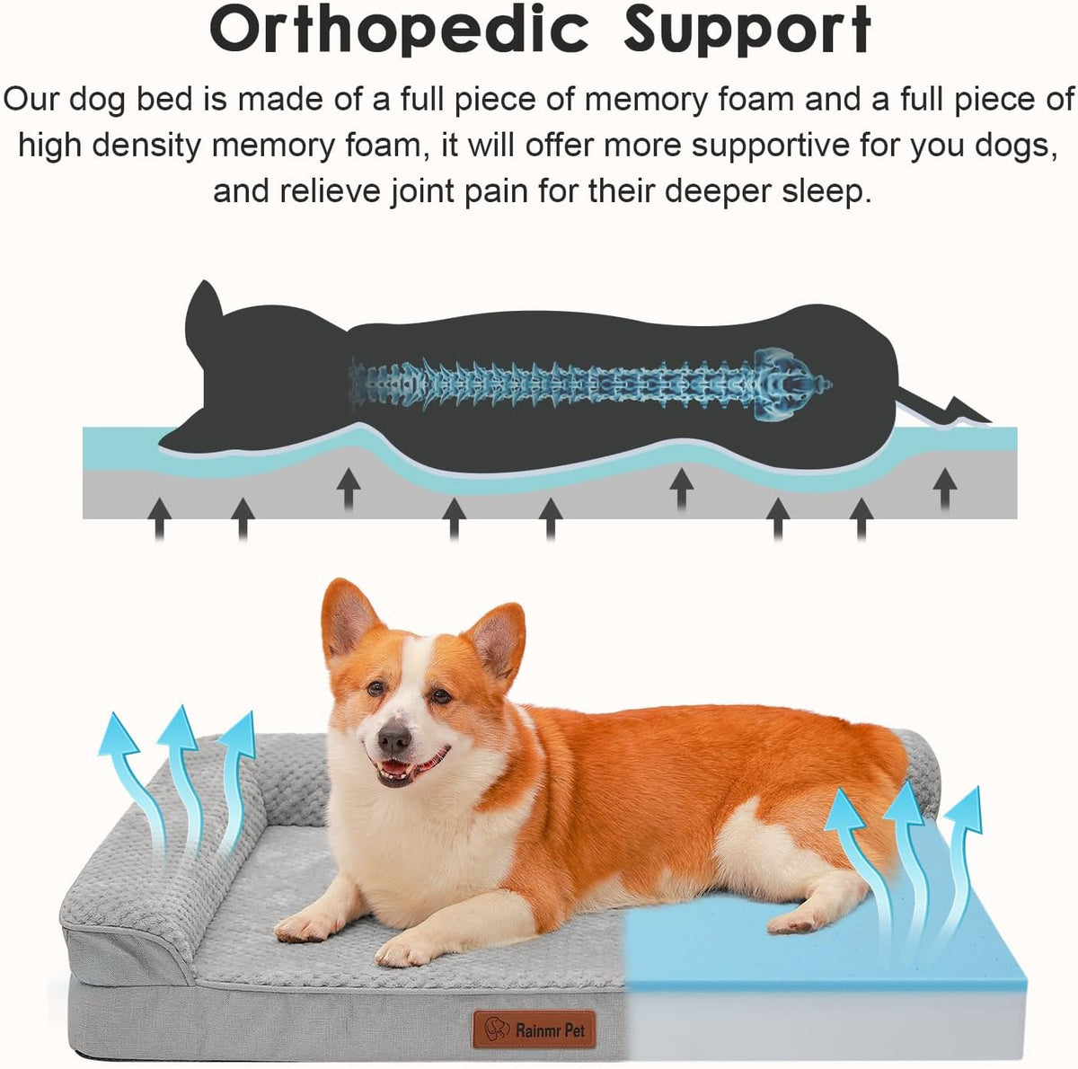 Orthopedic Dog Bed, 3 Inch Memory Foam Dog Beds for Large Dogs, Washable Removable Cover, Nonskid