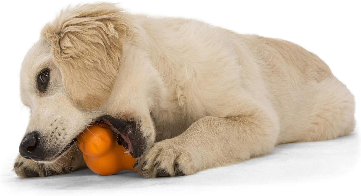 West Paw Zogoflex Tux Interactive Treat Dispensing Dog Chew Toy for Aggressive Chewers, 100%