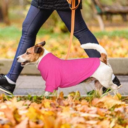 3 Pack Dog Sweater Fleece Pet Clothes Turtleneck Soft Warm Sweatshirt Dog Sweaters for Small Dogs