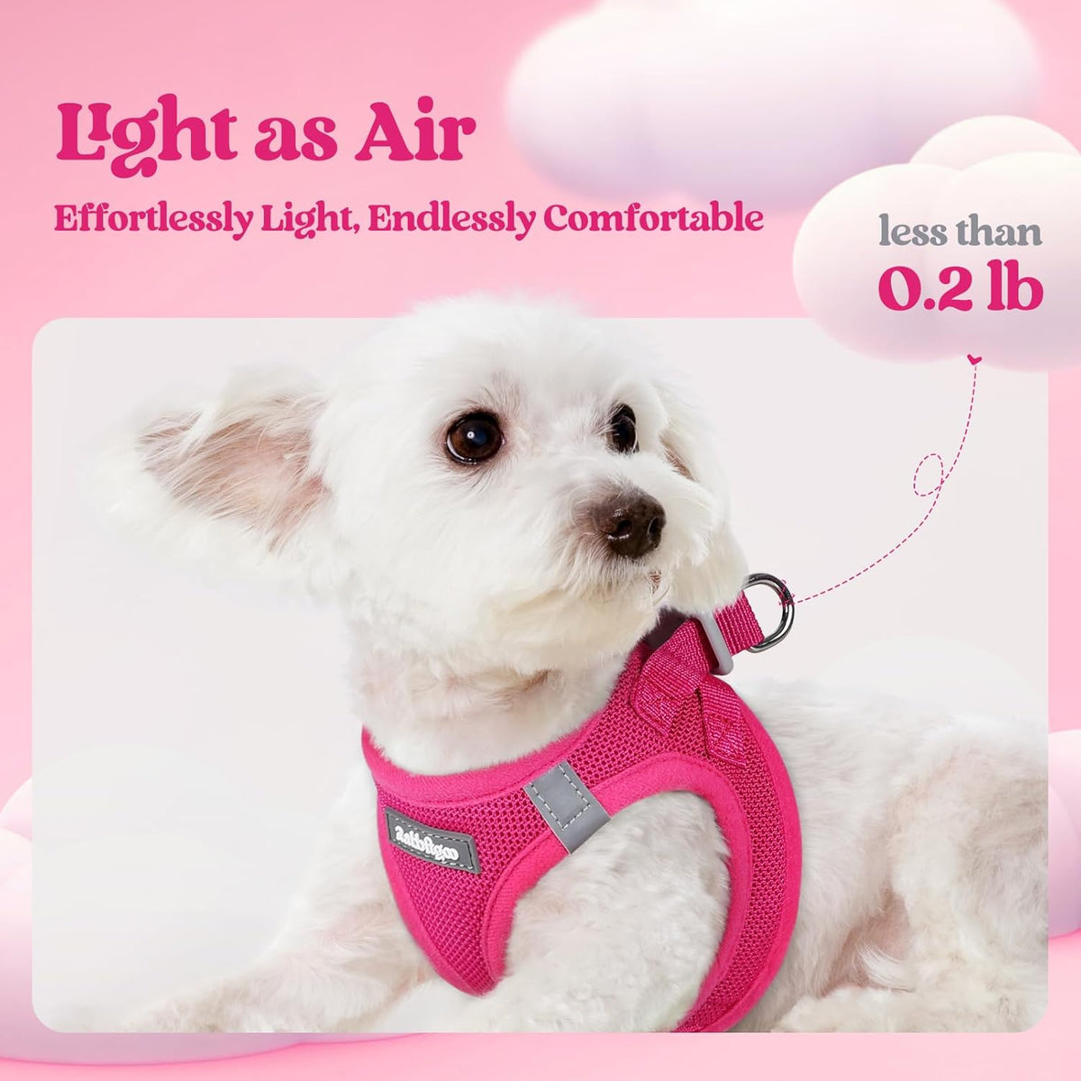 rabbitgoo Dog Harness Small Sized and Leash Set, Step in Soft Light Puppy Vest, Breathable Mesh Pet