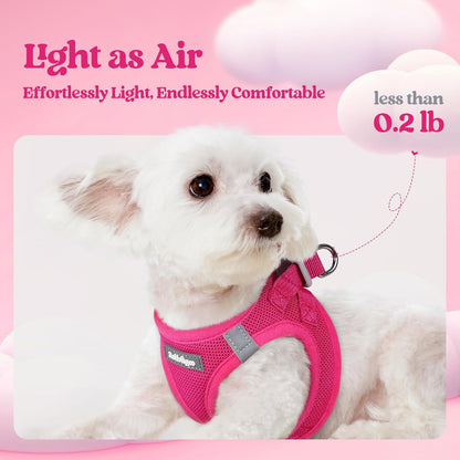 rabbitgoo Dog Harness Small Sized and Leash Set, Step in Soft Light Puppy Vest, Breathable Mesh Pet