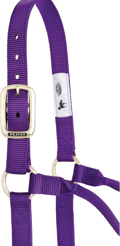 Weaver Equine Nylon Horse Halter, Triple-Ply Cheek Design, Original Non Adjustable Halters for